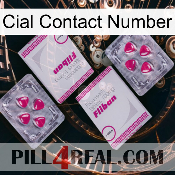 Cial Contact Number 33.jpg